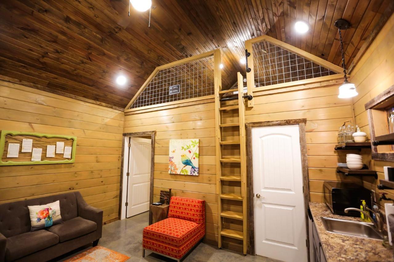 Knotty Squirrel Cabins Маунтин-Вью Экстерьер фото