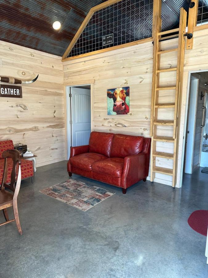 Knotty Squirrel Cabins Маунтин-Вью Экстерьер фото