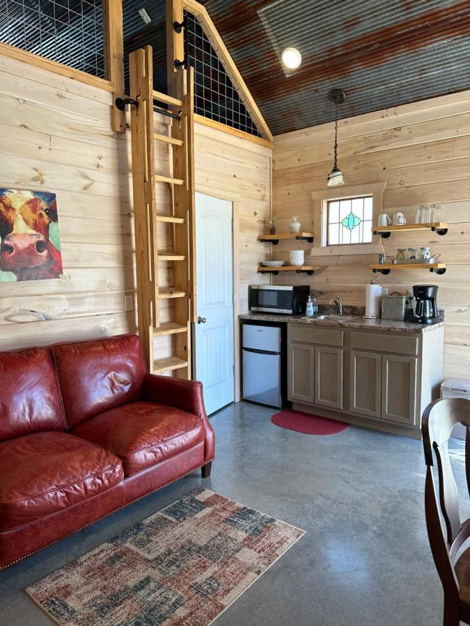 Knotty Squirrel Cabins Маунтин-Вью Экстерьер фото